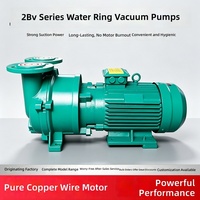 Pompe à vide à anneau liquide 2BV industrielle en fonte pour extraction d'air, à cycle d'eau, antidéflagrante, sans huile, compresseur d'air électrique