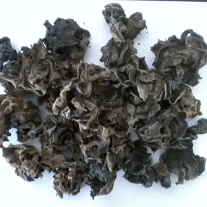 中国优质黑色食用菌小真健康新型干天然木耳蘑菇