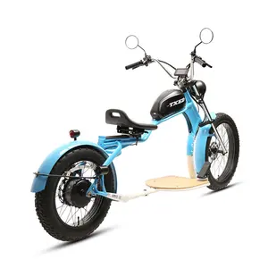 TXED Electric Motorcycle Scooter Bicycle 48V/1000W Motor Fat Tire Beach Cruiser Electric Bike