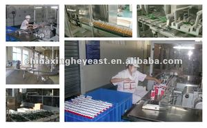 <span class=keywords><strong>Levadura</strong></span> <span class=keywords><strong>seca</strong></span> <span class=keywords><strong>instant</strong></span>ánea activa para pan, para fermentación rápida, masa baja en azúcar y alta en azúcar, <span class=keywords><strong>levadura</strong></span> <span class=keywords><strong>seca</strong></span> activa <span class=keywords><strong>SAF</strong></span> - Product Image 6