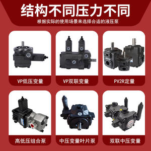 Pompe à palettes à déplacement fixe PV2R2, pompe pour systèmes hydrauliques personnalisés, pour machines de moulage par injection et engins de génie civil, homologuée - Product Image 3