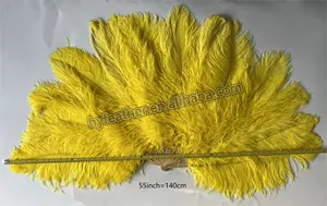 Venda quente 28-30 polegada Fan Costume Dance Avestruz Feather Fan Feather fabricante mão colorida Avestruz Feather Fan