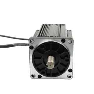 Customized Electric BLDC Brushless Motor 110mm For Sale 48v 1hp 1kw 2kw for fan boat generator