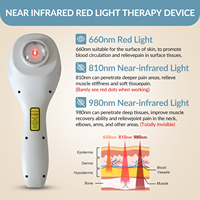 Appareil de thérapie laser à lumière rouge froide de classe IV 12W pour hernie discale, arthrose, fasciite plantaire et traitement de la douleur chez les chevaux