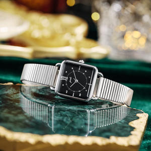 Montre pour femme à cadran carré rétro à succès, style Instagram de niche de haute valeur, bracelet en alliage, montre à quartz étanche - Product Image 1