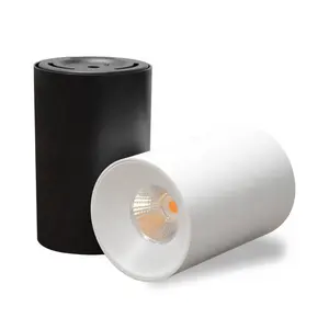 SK Lighting Desain Baru Lampu Downlight LED Terpasang Di Permukaan 15W Dapat Dipilih Tiga Warna