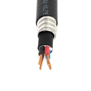 600V <span class=keywords><strong>TECK</strong></span> 90 PVC CÂBLE DE COMMANDE Multi Conductor14-10 AWG Cuivre Câble - Product Image 2