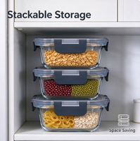 Ensemble de 12 contenants alimentaires en borosilicate de haute qualité avec couvercles hermétiques, bols micro-ondables pour la préparation des repas, adaptés au congélateur