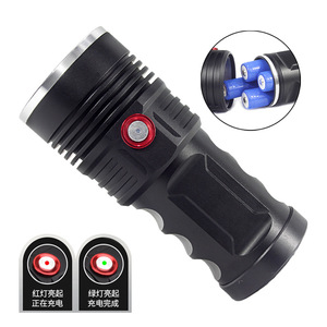 P50 3 LED 3000 - Product Image 3