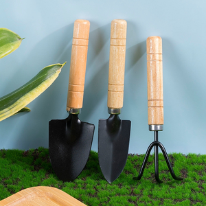 Vente en gros 3 pièces manche en bois grossier mini pelle de jardin bonsaï trousse à outils pelle à plantes en pot - Product Image 4