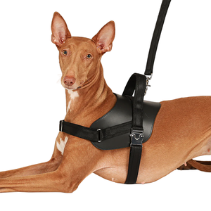 Harness Anjing Kulit Vegan Merah untuk Hari Valentine dan Tahun Baru, Model Saddle Harness Anti Tarik, Buatan Pabrik - Product Image 6