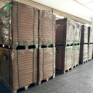 Carton rigide doublement polyenduit haute durabilité, barrière anti-humidité, 230-400 g/m², pour la fabrication de boîtes à lunch - Product Image 6