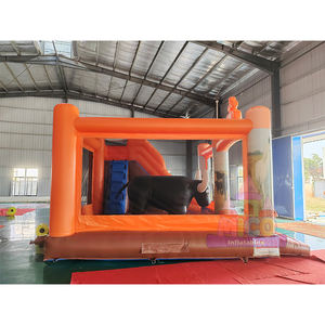 Casa Inflable con Tobogán para Niños, Alquiler para Fiestas Infantiles, Material de PVC, Portátil, Capacidad de 300-500 kg - Product Image 3