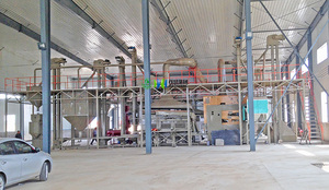 10-15tph Seed Processing Plant <strong>Supplier</strong> <strong>Coffee</strong> <strong>Bean</strong>/Mung Green <strong>Bean</strong> Cleaning Machine Grain Cleaning and Grading Machine - Product Image 6