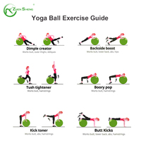 Zhensheng yoga exercice fitness grossesse naissance anti burst 65cm balance ball chair