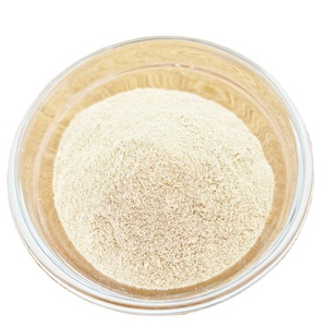 Organic Superfood Blend Plant <strong>Protein</strong> Powder Organic Pea <strong>Protein</strong> Powder - Product Image 1