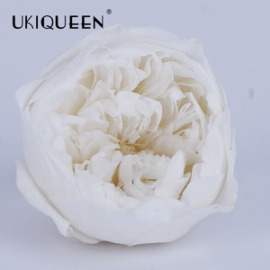 UKIQUEEN Nhà Máy Trực Tiếp Selling3-4-5-6cm Tự Nhiên Cảm Ứng Thực Hoa Mẫu Đơn Hoa Vĩnh Cửu Bảo Quản <span class=keywords><strong>David</strong></span> <span class=keywords><strong>Austin</strong></span> Hoa Hồng - Product Image 3