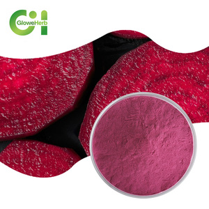 Trực tiếp-cung cấp, sấy khô, tan trong nước hữu cơ củ cải đường bột; củ cải đường tập trung nước trái cây bột - Product Image 1