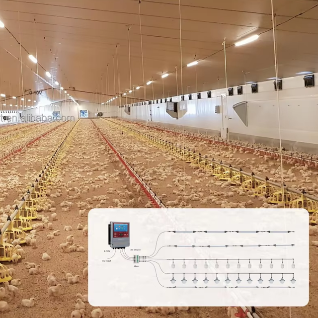New LED Light Lamp System for Broiler Farm 1-Year Warranty LED Light Lamp System for Broiler Farm Animal Husbandry Equipment