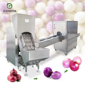 Éplucheur et coupeur de légumes haut de gamme pour ail et oignon - Product Image 1