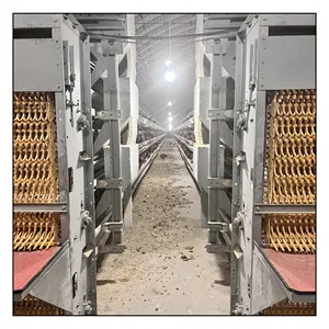 Équipement de ferme avicole Hop Dip acier galvanisé Type H couche multi-niveaux batterie d'élevage Cage à poulets en Chine