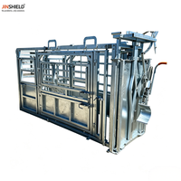 Chute d'encastrement personnalisée pour bétail avec système de pesage pour bovins et vaches laitières