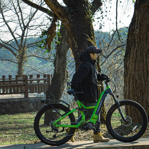 Bicicleta de Montaña Eléctrica con Suspensión Completa, Motor Central, 1000w - Product Image 4