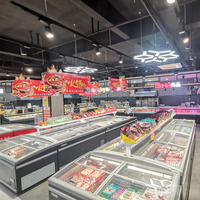 Congélateur d'îlot pour supermarché à économie d'énergie, congélateur à dégivrage automatique, vitrine de présentation