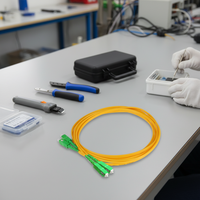 Cordon de brassage fibre optique SC APC Duplex Monomode SC/APC vers SC/APC 2 fibres Utilisation intérieure 2.0/3.0mm G652D 9/125m OS2 SM DX