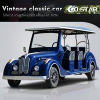 Voiture électrique vintage Go Star certifiée (GCC/Eec/Dot/CE) 11 places, autonomie de 90 km, garde au sol de 250-300 mm, 30 km/h