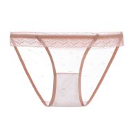 Pakaian Dalam Wanita Seksi Transparan Berenda Model Low Waist dengan Detail Bunga dan Lubang-Lubang, Bahan Mesh Bernapas, Cocok untuk Sehari-hari, ODM, Menggoda, Warna Hitam