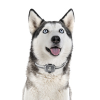 Collar GPS al por Mayor para Perros y Gatos con Compartimento para Tarjeta SIM, LED de Carga y Correa de Sujeción Integrada