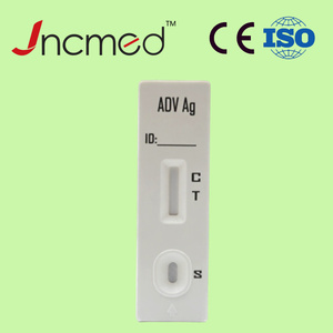 ชุดตรวจหาแอนโดโวนิวรัสแบบรวดเร็ว ความแม่นยำสูง สำหรับ OEM <span class=keywords><strong>ราคา</strong></span>โรงงาน ชุดทดสอบวินิจฉัยทางการแพทย์ IVD - Product Image 2