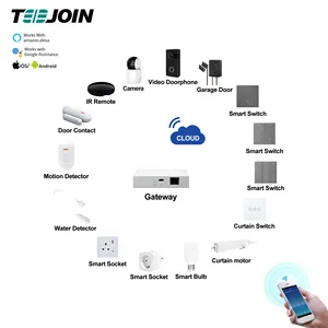 Automacao Alexa Echo domotique Zigbee automazione dispositivo Smart Home domotica-hub domotico intelligente con relè