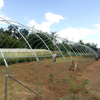 Serre Agricole à Grande Serre Tropicale Cadre en Métal Matériau PE Haute Qualité Horticulture Serre