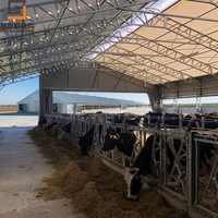Structure en acier professionnelle pour la construction de bâtiments d'élevage de bétail, de moutons et de porcs, résistante aux intempéries, pour projets d'élevage