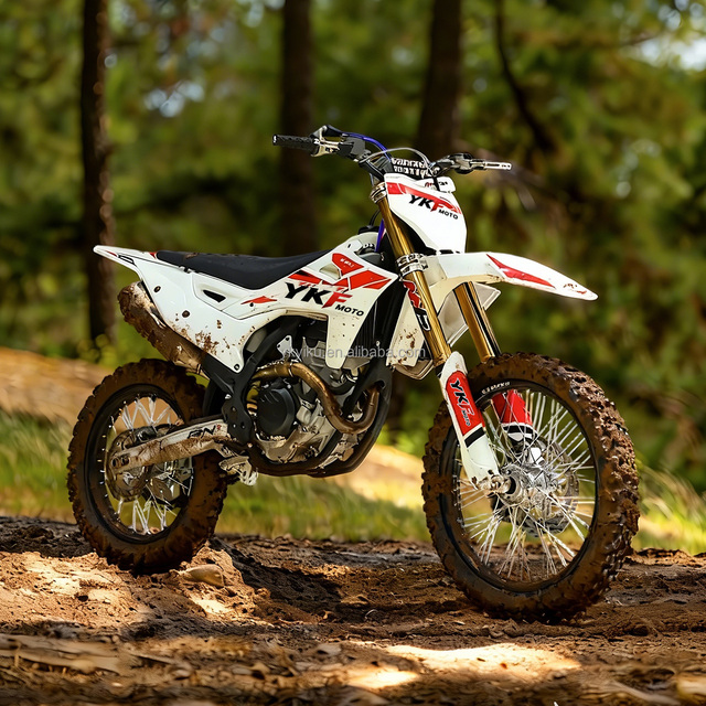 Factory Direct NX250 250cc Dirt Bike Adult Off Road Motorcycle EFI System Enduro Motocross Bike with Aluminum Alloy Frame