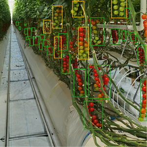<span class=keywords><strong>AGV</strong></span> Multifuncional sobre Rieles y Módulos de Apoyo para Protección de Plantas, Patrullaje, Inspección, Automatización de Invernaderos Agrícolas - Product Image 4