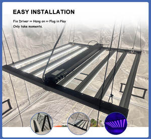 Samsung Lm301h Evo Lm281b Led élèvent la lumière à spectre complet 1000W 10 barres Uv Ir1000w élèvent la lumière augmentent les anthocyanines - Product Image 5