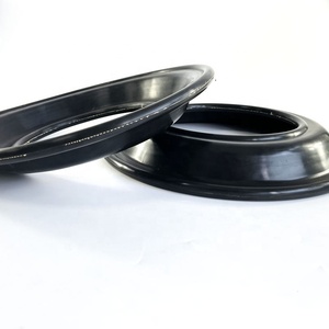 E3 एल्यूमीनियम के लिए FKM डायाफ्राम पंप - Product Image 4