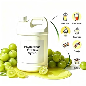 Sirop naturel de Phyllanthus Emblica (Amla) – Saveur stable, sans additifs, pour aliments, boissons, bubble tea et boissons santé fonctionnelles - Product Image 1