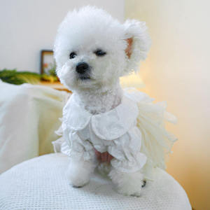 Qbellpet 2025 nouveauté gracieux printemps été nœud papillon <span class=keywords><strong>chien</strong></span> princesse robe robe de mariée pour animaux de compagnie - Product Image 5