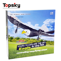 Simulation électrique sans fil Eagle Foam RC Plane Toys Remote Control Glider Airplane Boys Outdoor Game Flying Toys Batteries