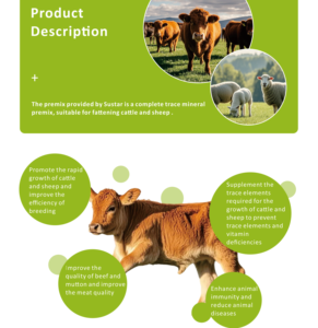 Aditivos para Alimento Animal, Premezcla para Engorde de Cabras y Ovejas, Aditivo para Alimento, Premezcla para Engorde de Ganado Vacuno y Ovino, Premezcla para Ganado - Product Image 3