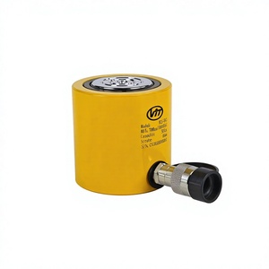 กระบอกไฮดรอลิกแบบสปริงรีเทิร์น ขนาด 50 ตัน ระยะชัก 60 มม. เทียบเท่า ENERPAC สำหรับการบำรุงรักษาเครื่องจักร - Product Image 1