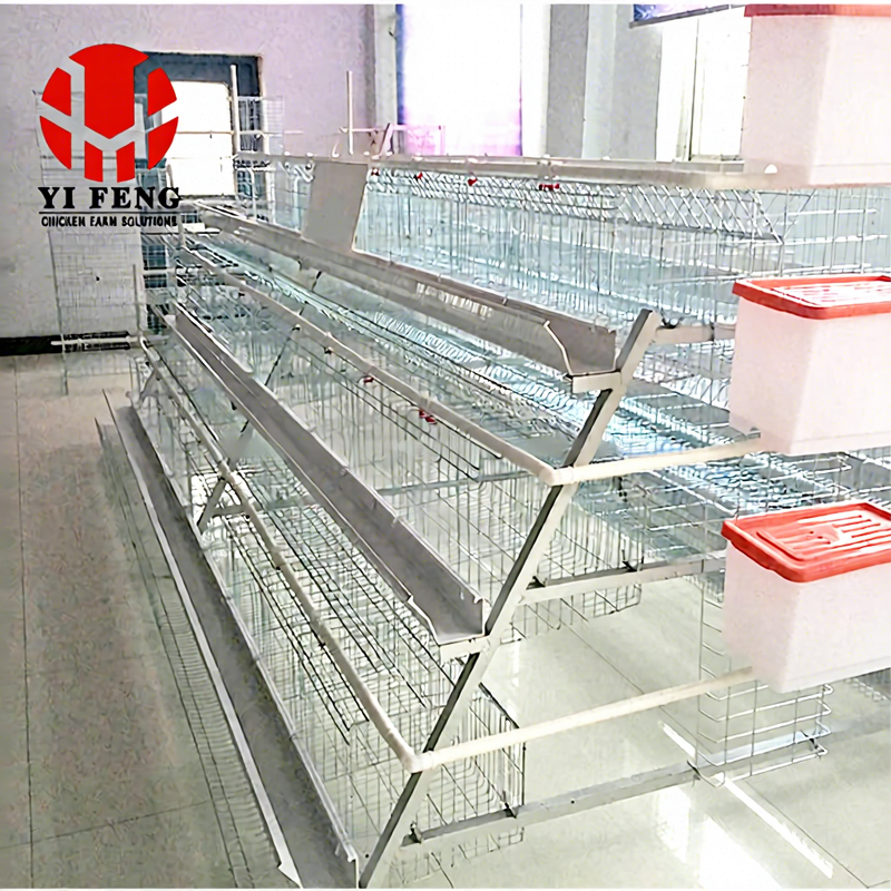 Poultry Farms Animal Cages Laying Hens