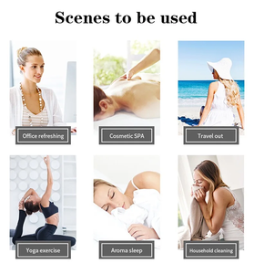 Fournisseur d'huiles essentielles en vrac, huiles essentielles biologiques pures et fraîches, écologiques, pour l'aromathérapie, les soins de la peau, le massage, vente en gros - Product Image 6