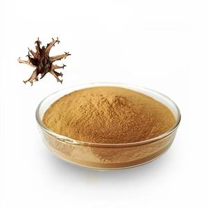 Ekstrak Cakar Iblis Laris Manis Harga Grosir Bubuk Ekstrak Cakar Iblis Ekstrak Cakar Iblis Murni Harpagoside untuk Dijual - Product Image 1