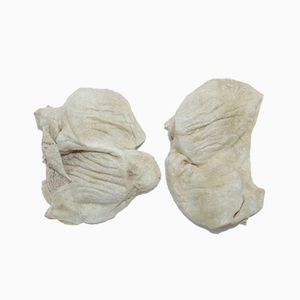 Comida para gatos y perros, comida para mascotas, comida para snacks, 100% - Product Image 3