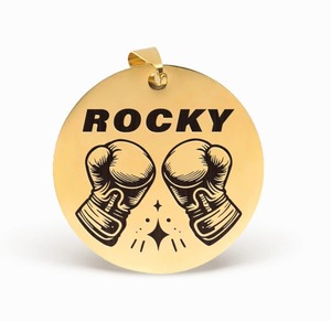 Colgante Redondo Personalizado con Grabado de Guante de Boxeo para Mascotas, Amuleto de Acero Inoxidable para Collar con Nombre, Regalo Personalizado para Amantes de Mascotas - Product Image 2